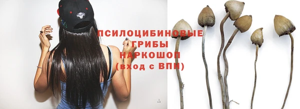 ПСИЛОЦИБИНОВЫЕ ГРИБЫ Алексин