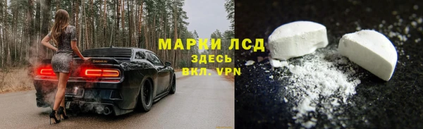 СК Абинск