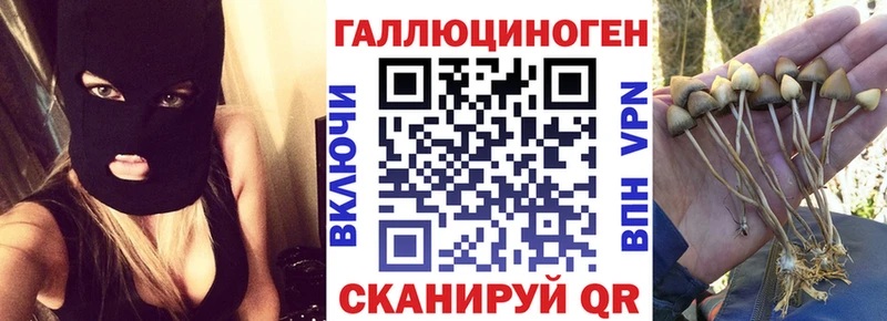 Псилоцибиновые грибы MAGIC MUSHROOMS  кракен ONION  Магадан  наркошоп 