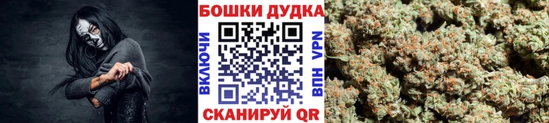 Бошки марихуана гибрид  Магадан 